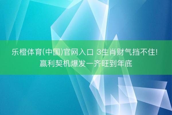 乐橙体育(中国)官网入口 3生肖财气挡不住! 赢利契机爆发一齐旺到年底