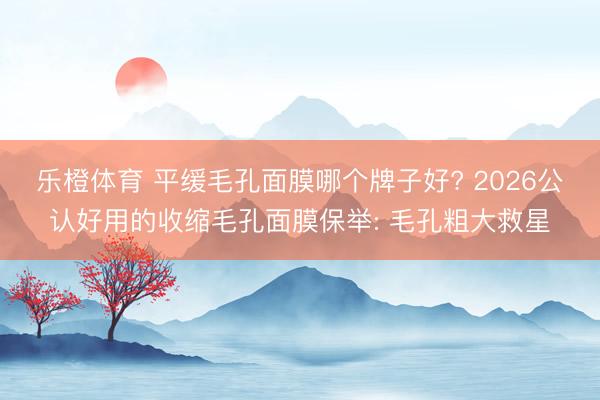 乐橙体育 平缓毛孔面膜哪个牌子好? 2026公认好用的收缩毛孔面膜保举: 毛孔粗大救星