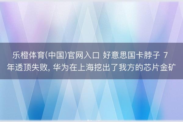 乐橙体育(中国)官网入口 好意思国卡脖子 7 年透顶失败， 华为在上海挖出了我方的芯片金矿