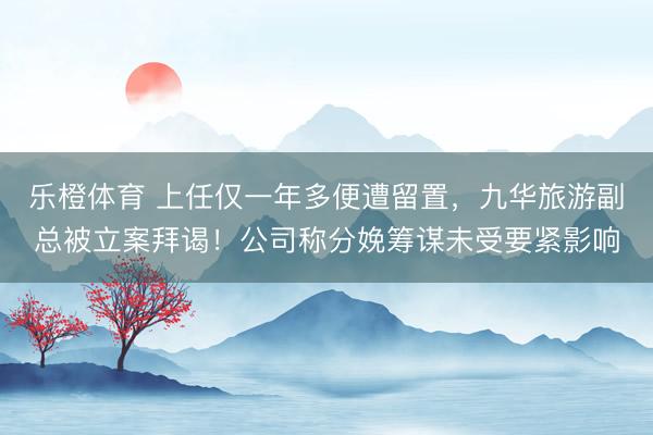 乐橙体育 上任仅一年多便遭留置，九华旅游副总被立案拜谒！公司称分娩筹谋未受要紧影响
