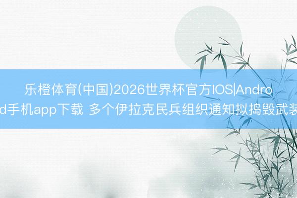 乐橙体育(中国)2026世界杯官方IOS|Android手机app下载 多个伊拉克民兵组织通知拟捣毁武装