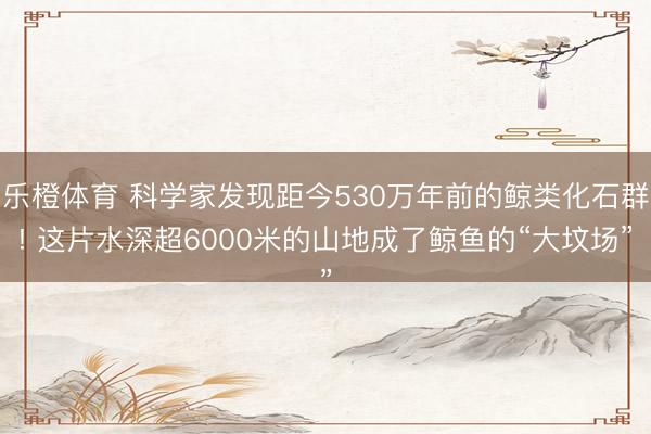 乐橙体育 科学家发现距今530万年前的鲸类化石群! 这片水深超6000米的山地成了鲸鱼的“大坟场”