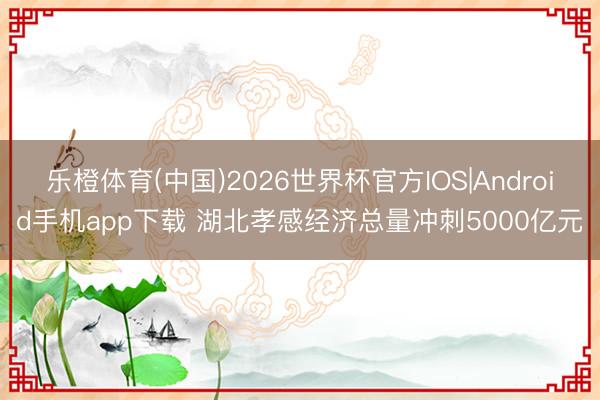 乐橙体育(中国)2026世界杯官方IOS|Android手机app下载 湖北孝感经济总量冲刺5000亿元