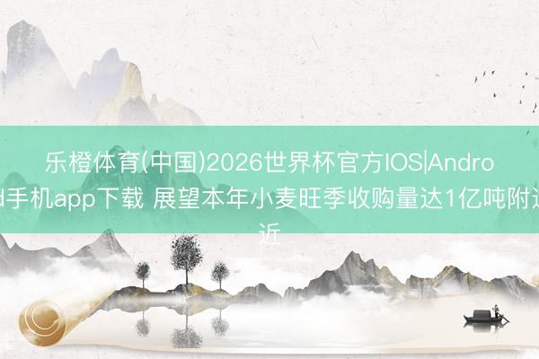 乐橙体育(中国)2026世界杯官方IOS|Android手机app下载 展望本年小麦旺季收购量达1亿吨附近