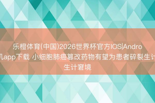 乐橙体育(中国)2026世界杯官方IOS|Android手机app下载 小细胞肺癌篡改药物有望为患者碎裂生计窘境