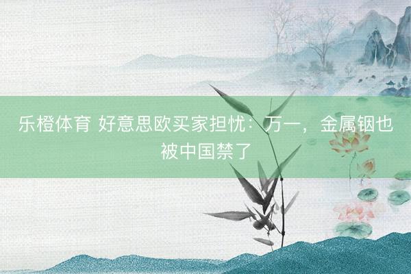 乐橙体育 好意思欧买家担忧：万一，金属铟也被中国禁了